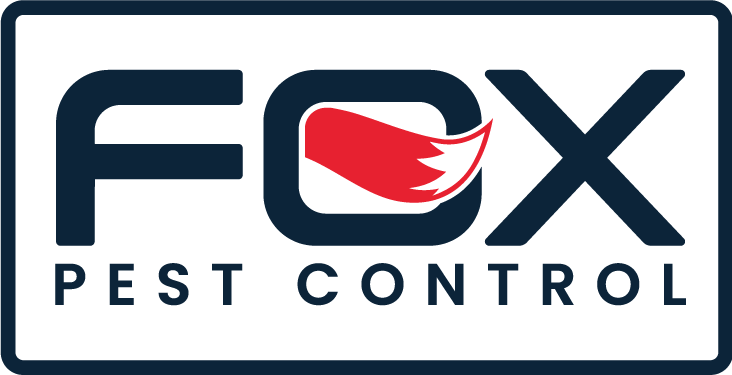 PNG logo